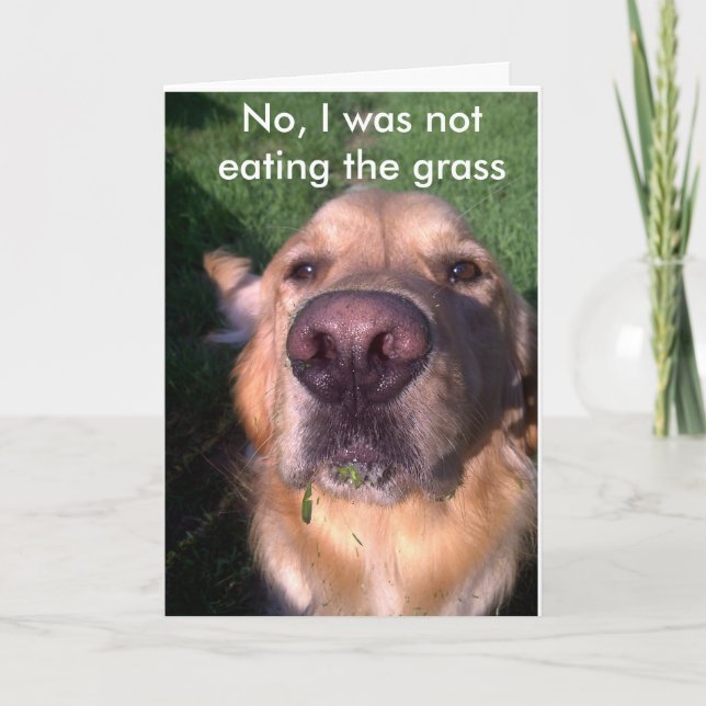 Nej, jag hade inte.. kort (Framsida)