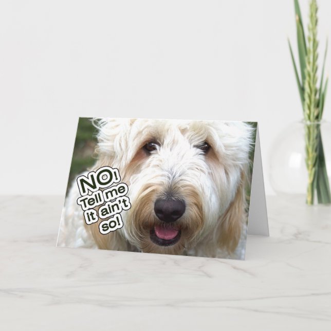 NEJ, SÄG ATT DET INTE ÄR SÅ. KORT (Framsida)