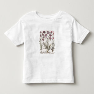 Nejlikor: majore för flore 1.Caryophyllus; 2. Tee