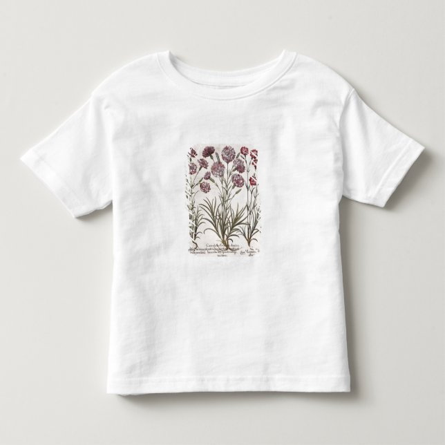 Nejlikor: majore för flore 1.Caryophyllus; 2. Tee (Framsida)