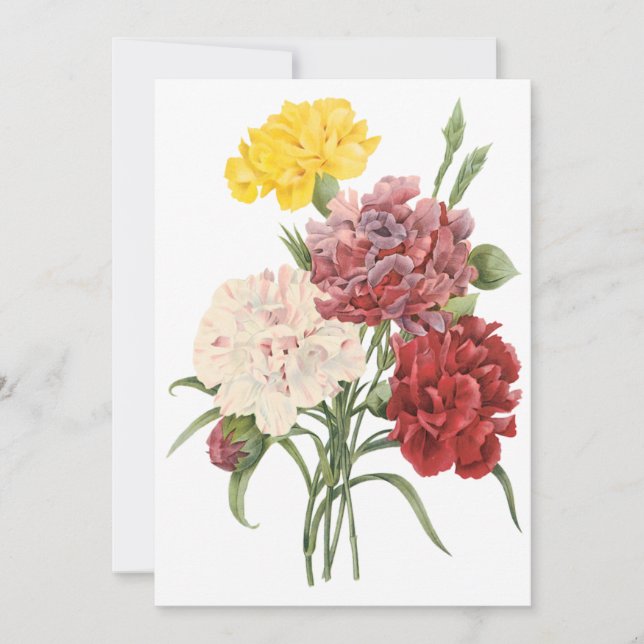 Nejlikor Trädgårdsblommor av Redoute Inbjudan (Framsida)