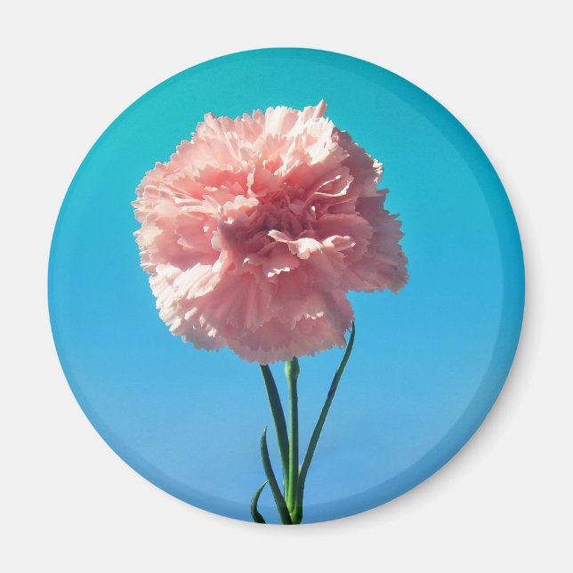nejnation magnet (Framsidan)