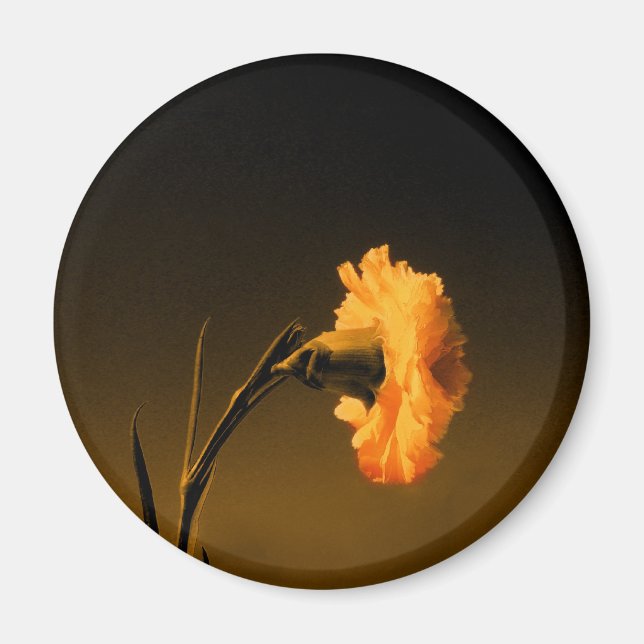 nejnation magnet (Framsidan)