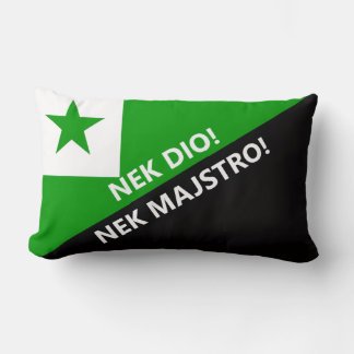Nek dio nek majstro lumbarkudde
