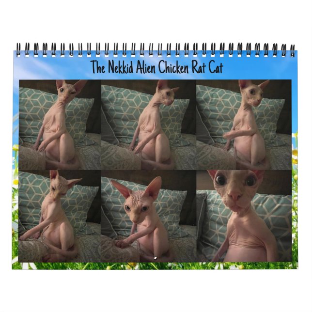 Nekkillens kalender 2024 (Omslag)
