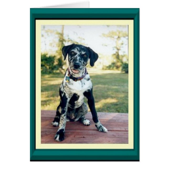 Nellie Hälsningskort (Framsidan)