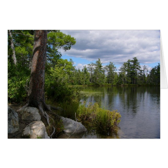 Nelligan sjö hälsningskort (Framsidan Horizontal)