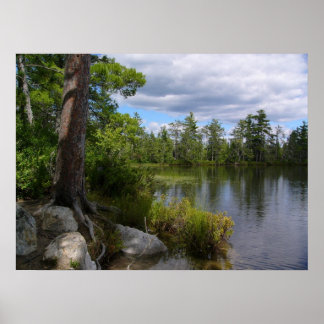 Nelligan sjö poster