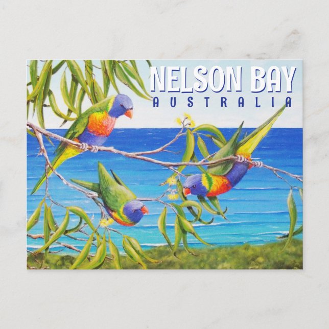 Nelson Bay Australia Birds Lorikeet Beach Painting Vykort (Framsida)