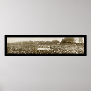 Nelson Britt boxningfoto 1905 Poster