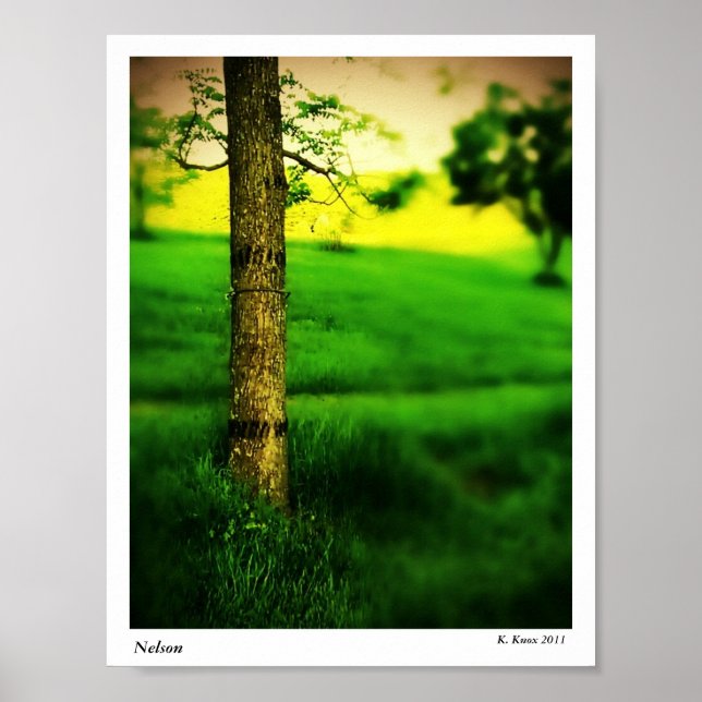 Nelson Poster (Framsidan)