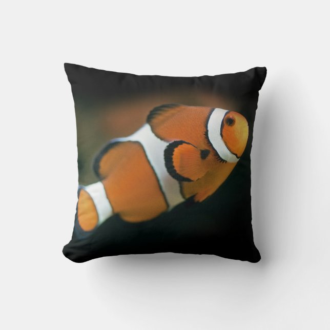 Nemo Kudde (Framsida)