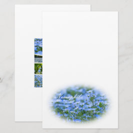 NEMOPHILA(Baby Blue Eyes) Brevpapper