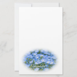 NEMOPHILA(Baby Blue Eyes) Brevpapper