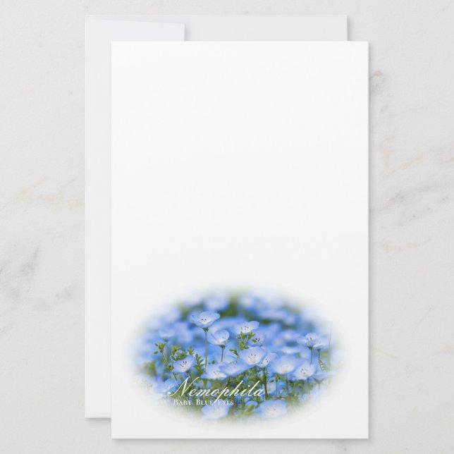 NEMOPHILA（Baby Blue Eyes） Brevpapper (Framsida)
