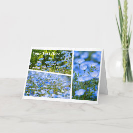 NEMOPHILA(Baby Blue Eyes) Kort