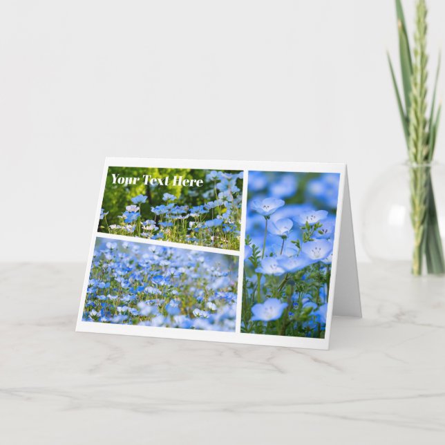NEMOPHILA（Baby Blue Eyes） Kort (Framsida)