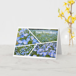 NEMOPHILA(Baby Blue Eyes) Kort