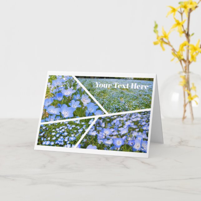 NEMOPHILA（Baby Blue Eyes） Kort (Gul blomma)