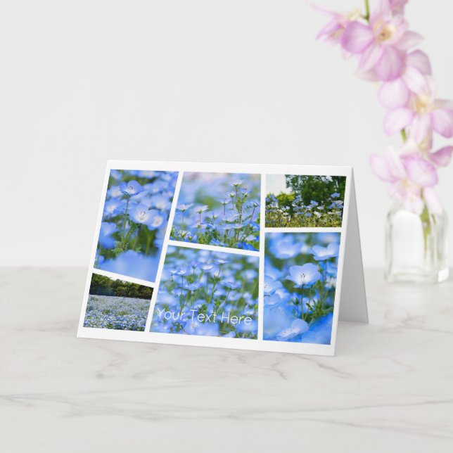 NEMOPHILA（Baby Blue Eyes） Kort (Orkide)