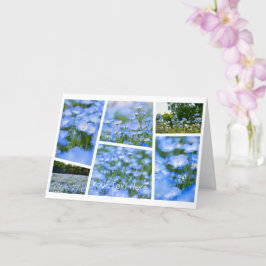 NEMOPHILA（Baby Blue Eyes） Kort