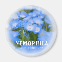 NEMOPHILA（Baby Blue Eyes） Magnet