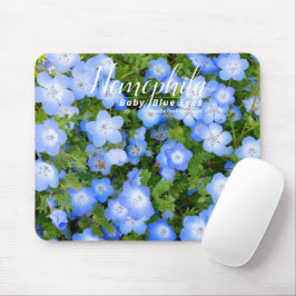NEMOPHILA(Baby Blue Eyes) Musmatta