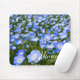 NEMOPHILA(Baby Blue Eyes) Musmatta