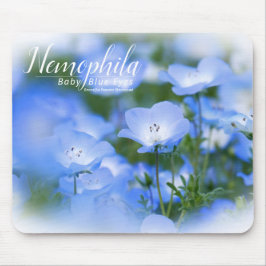 NEMOPHILA(Baby Blue Eyes) Musmatta
