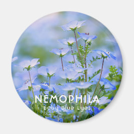 NEMOPHILA (Baby blue Ögon) Magnet