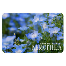 NEMOPHILA (Baby blue Ögon) Magnet
