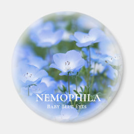 NEMOPHILA (Baby blue Ögon) Magnet