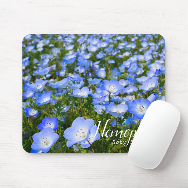 NEMOPHILA (Baby blue Ögon) Musmatta (Med mus)