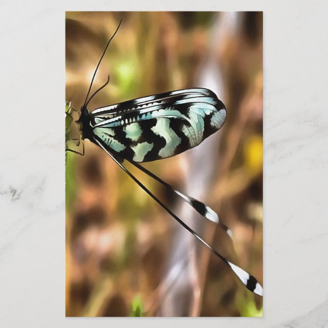 Nemoptera bipennis Spoon-Winged Insekt Art Brevpapper (Framsida)