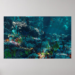 Nemos Garden Poster