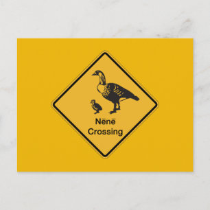 Nene Crossing, Traffic Warning Sign, Hawaii, USA Vykort