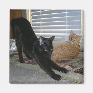 Neo och Isabelle magnet