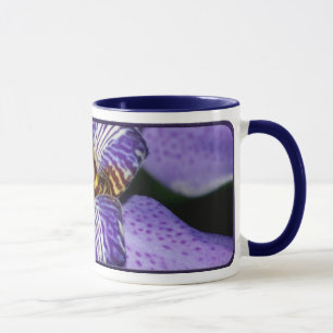 Neomarica Mugg