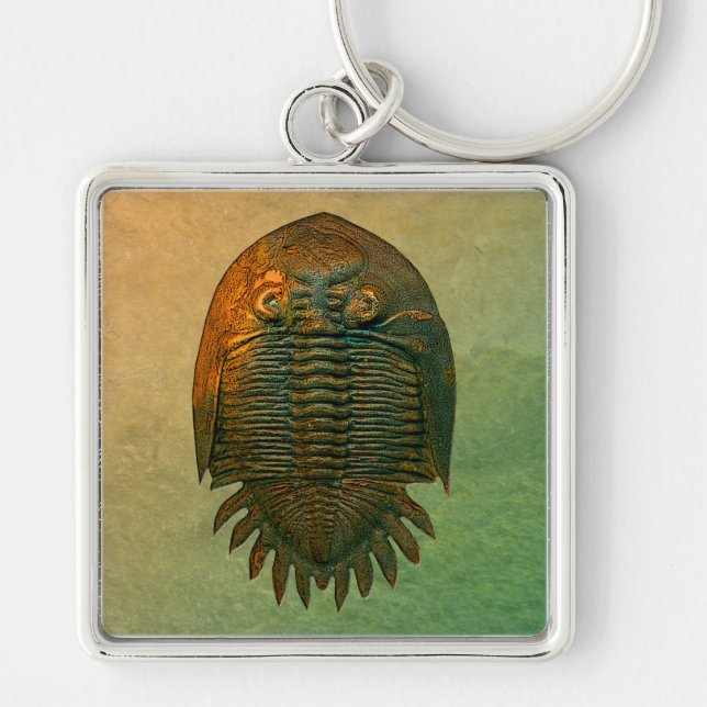 Neometacanthus Fossil Trilobite Fyrkantig Silverfärgad Nyckelring (Framsidan)