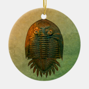 Neometacanthus fossil Trilobite Julgransprydnad Keramik