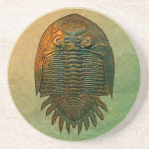 Neometacanthus fossil Trilobite Underlägg Sandsten