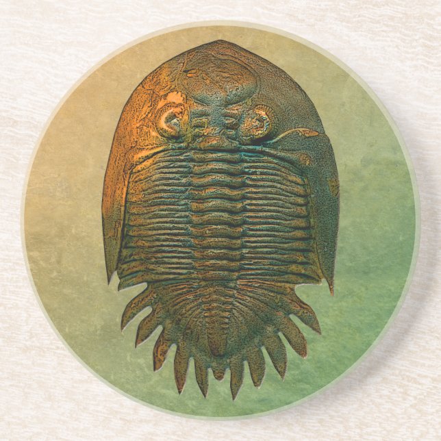 Neometacanthus Fossil Trilobite Underlägg Sandsten (Framsidan)