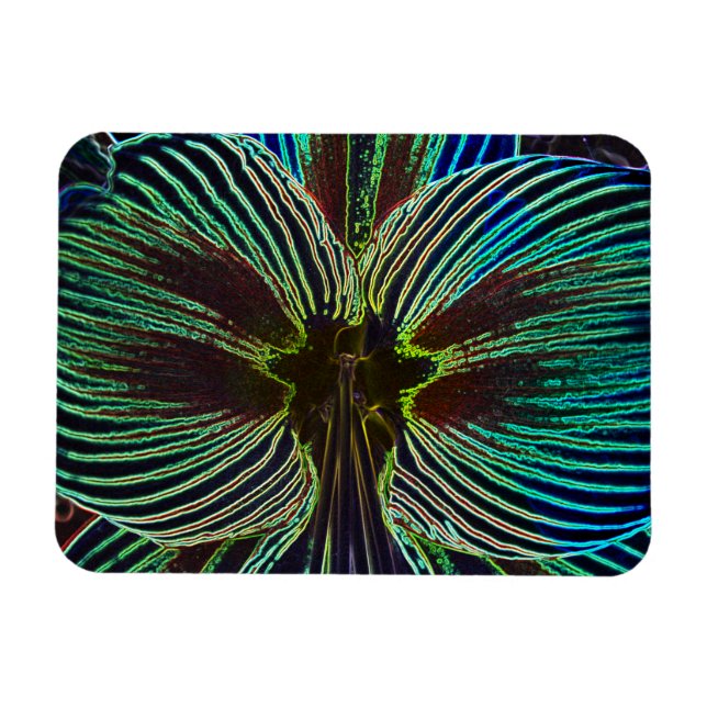 Neon Amaryllis Magnet (Horisontell)