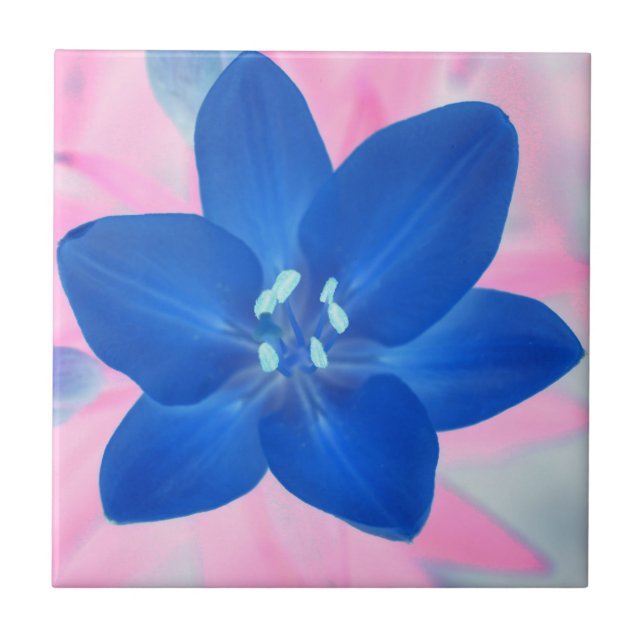 Neon Blue Lily Flower Rosa Background Kakelplatta (Framsidan)