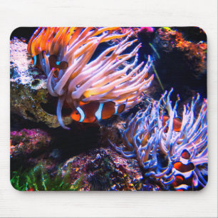 Neon Färg Clown Fishings Musmatta