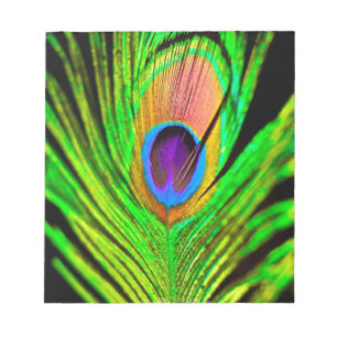 Neon Färg Peacock Feather Anteckningsblock