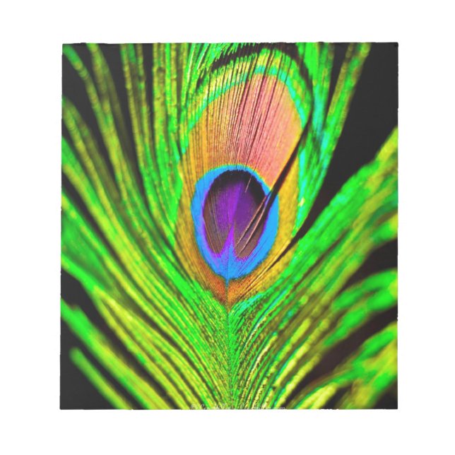 Neon Färg Peacock Feather Anteckningsblock (Framsida)