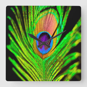 Neon Färg Peacock Feather Fyrkantig Klocka