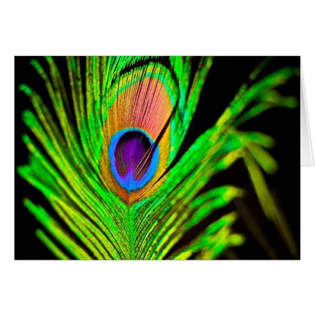 Neon Färg Peacock Feather Hälsningskort (Framsidan Horizontal)
