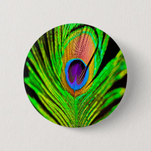 Neon Färg Peacock Feather Knapp